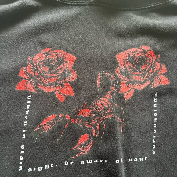 Hidden in plain sight. Be aware of your surroundings black hoodie - Picture 2 of 3